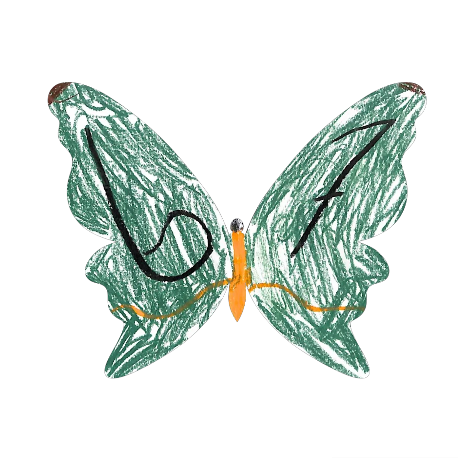 Original Butterfly Image