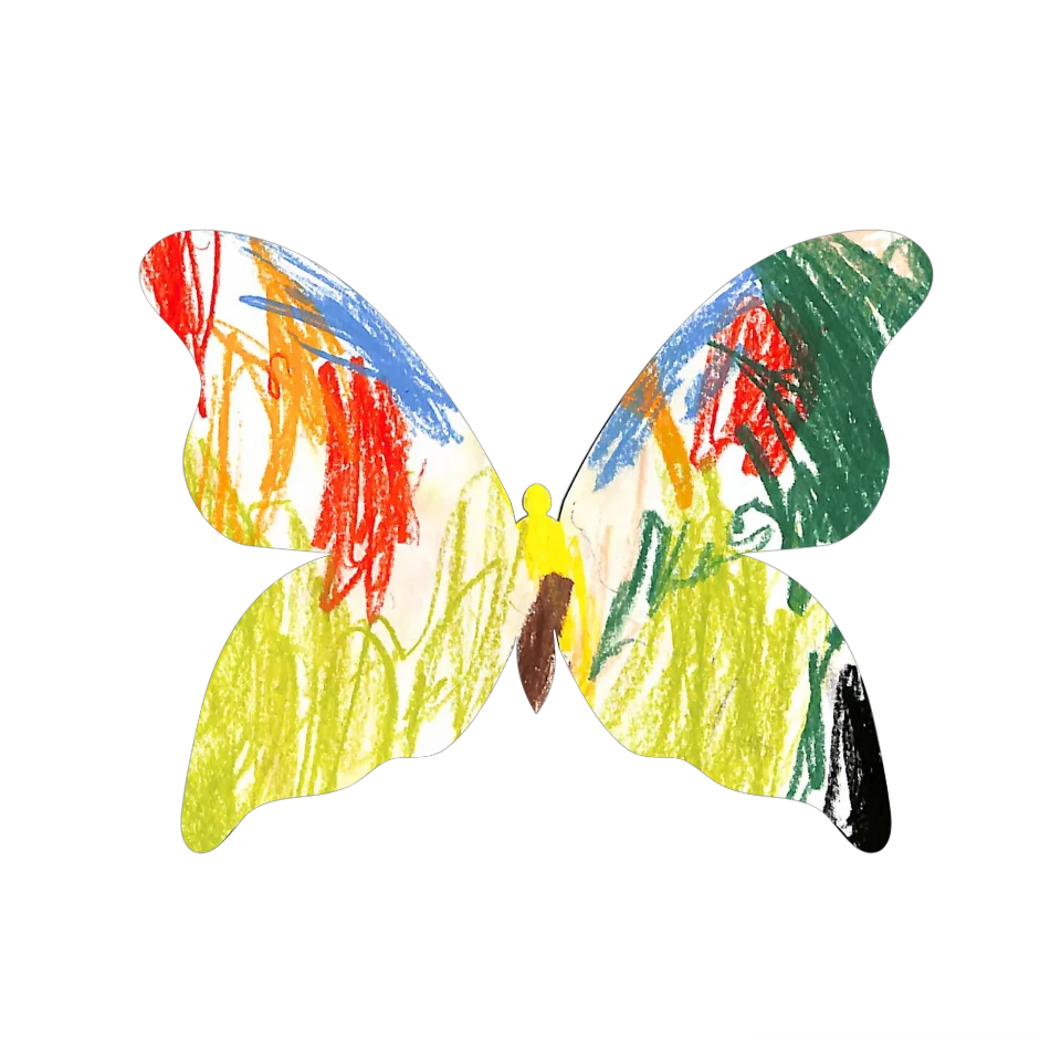 Original Butterfly Image