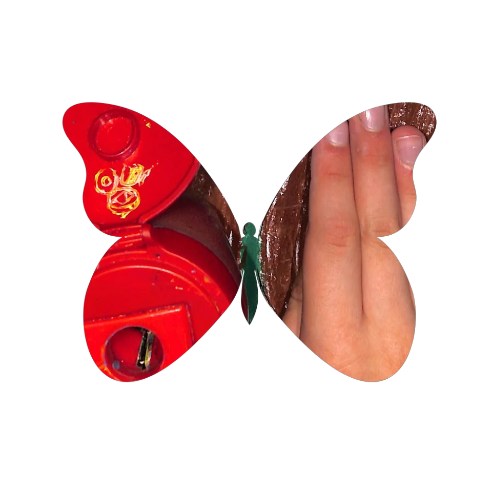 Original Butterfly Image