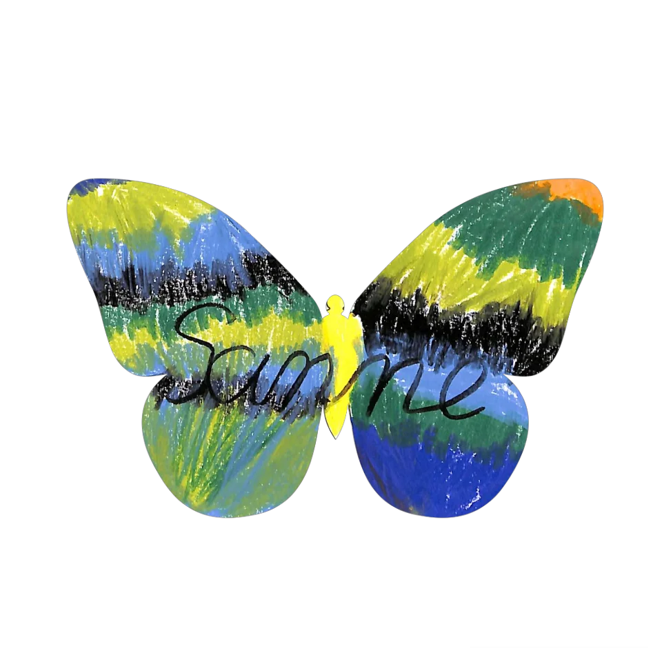 Original Butterfly Image