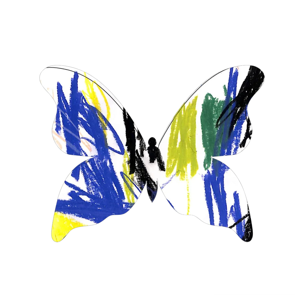 Original Butterfly Image