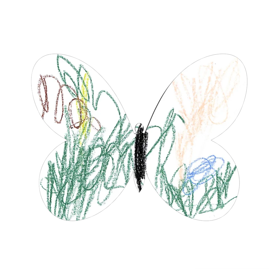 Original Butterfly Image