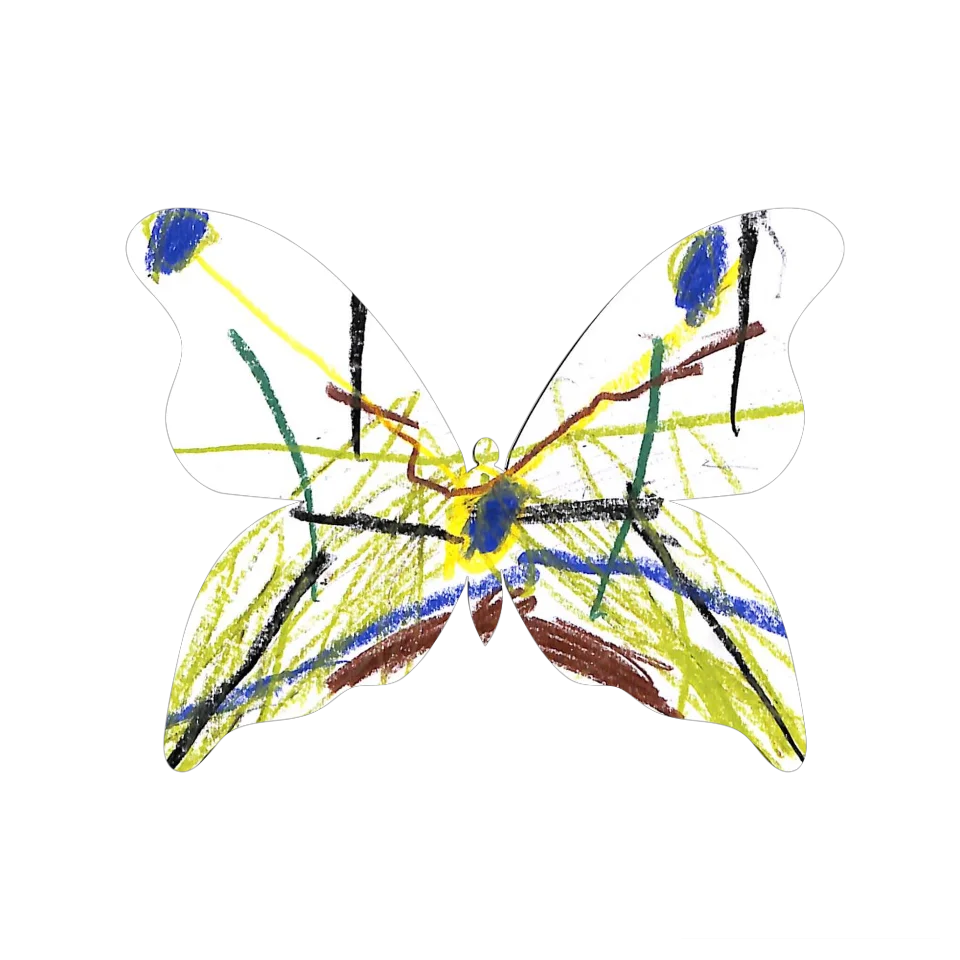 Original Butterfly Image