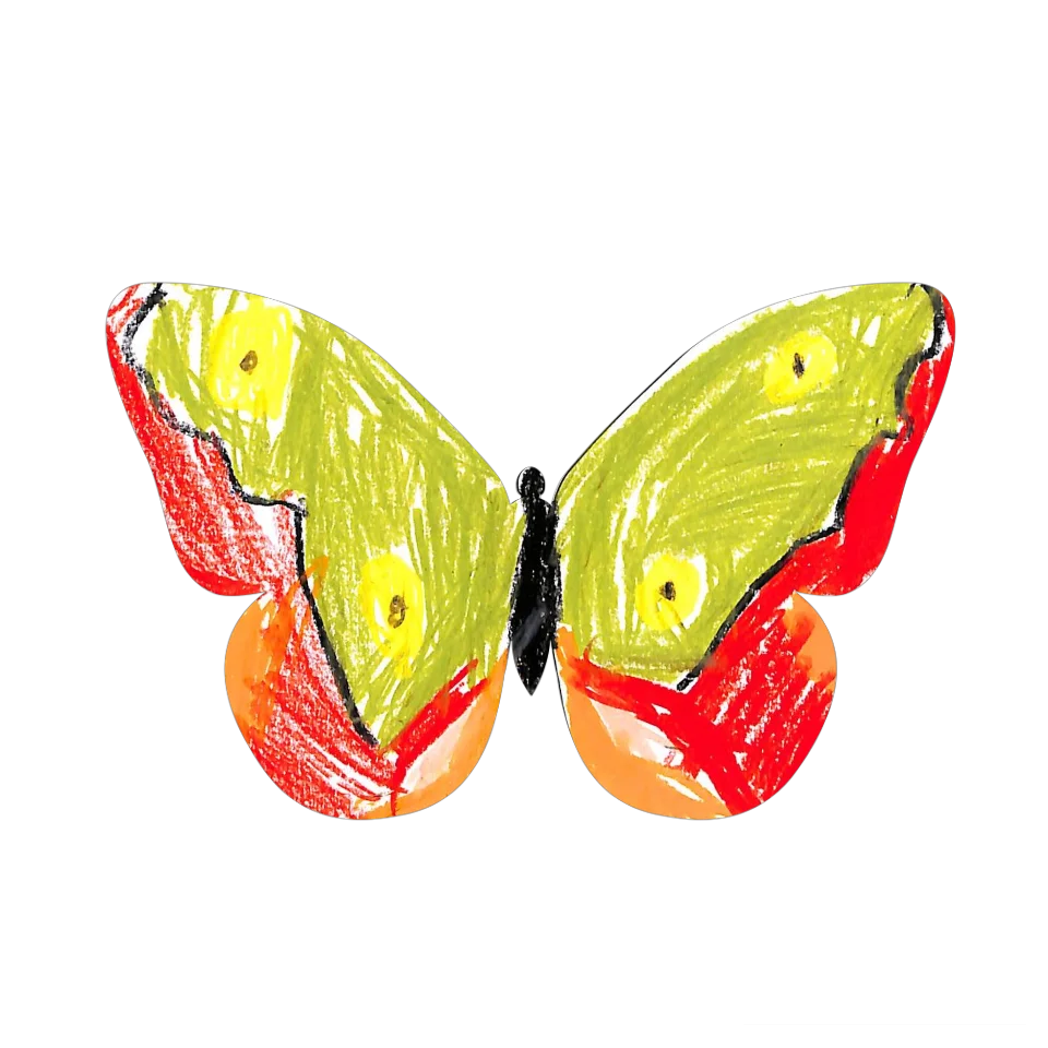Original Butterfly Image