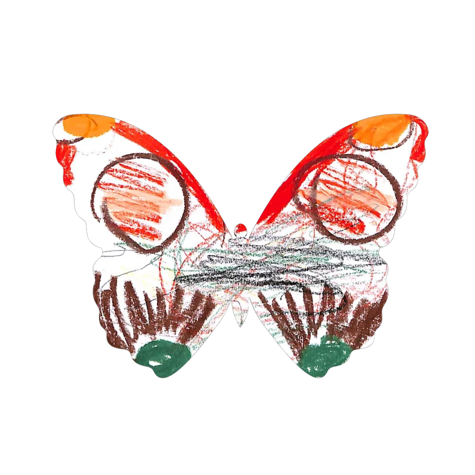 Original Butterfly Image