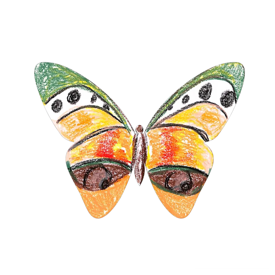 Original Butterfly Image