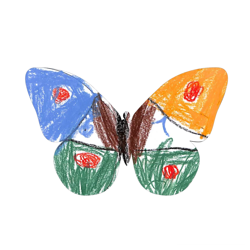 Original Butterfly Image