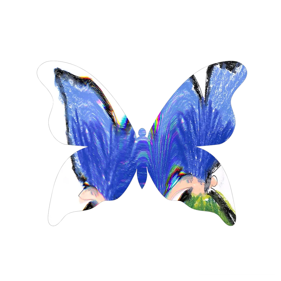 Original Butterfly Image