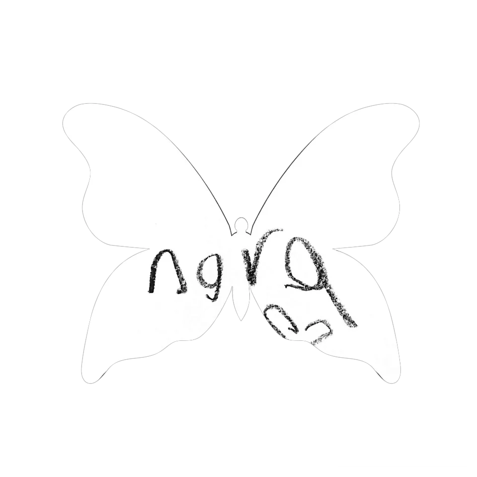 Original Butterfly Image