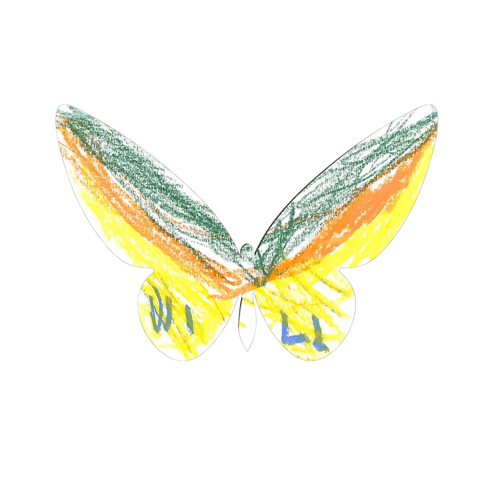 Original Butterfly Image