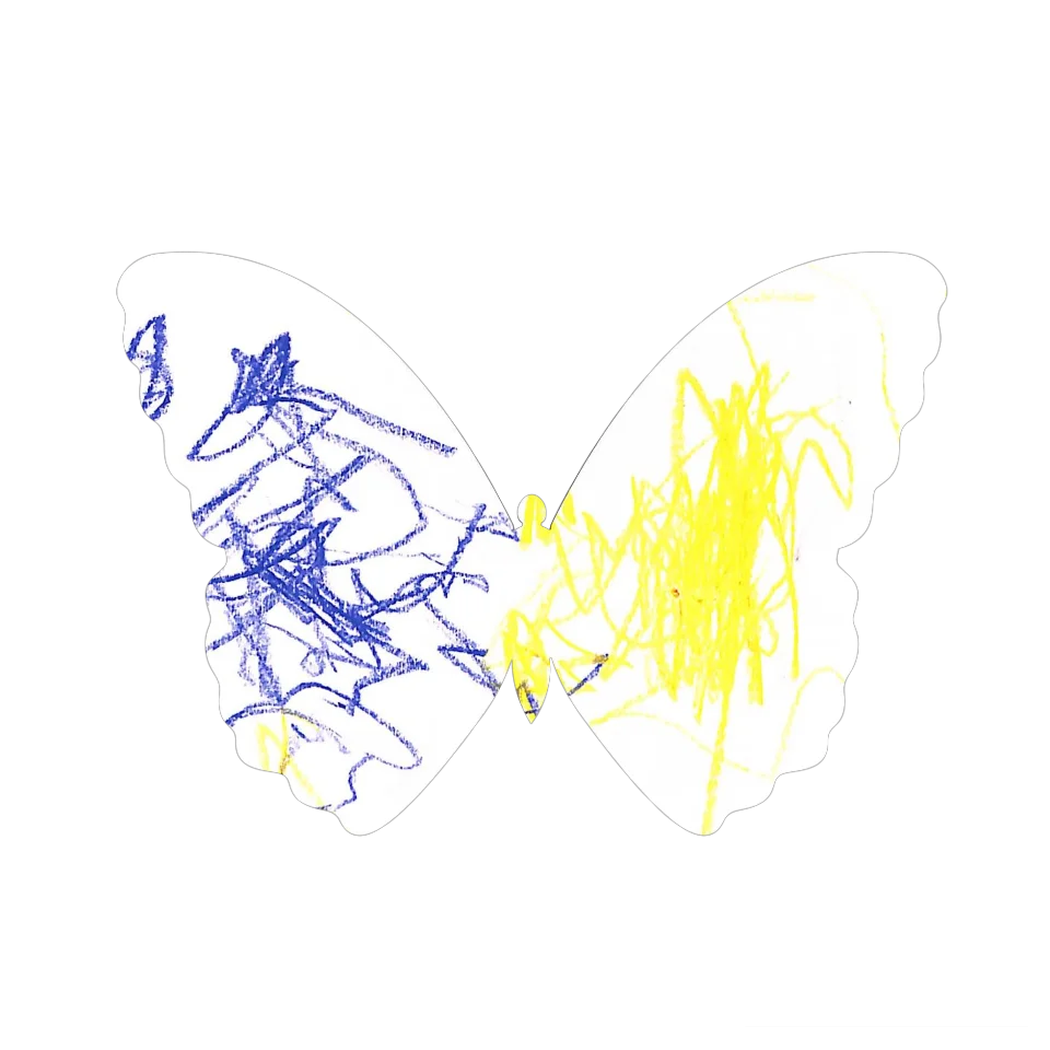 Original Butterfly Image