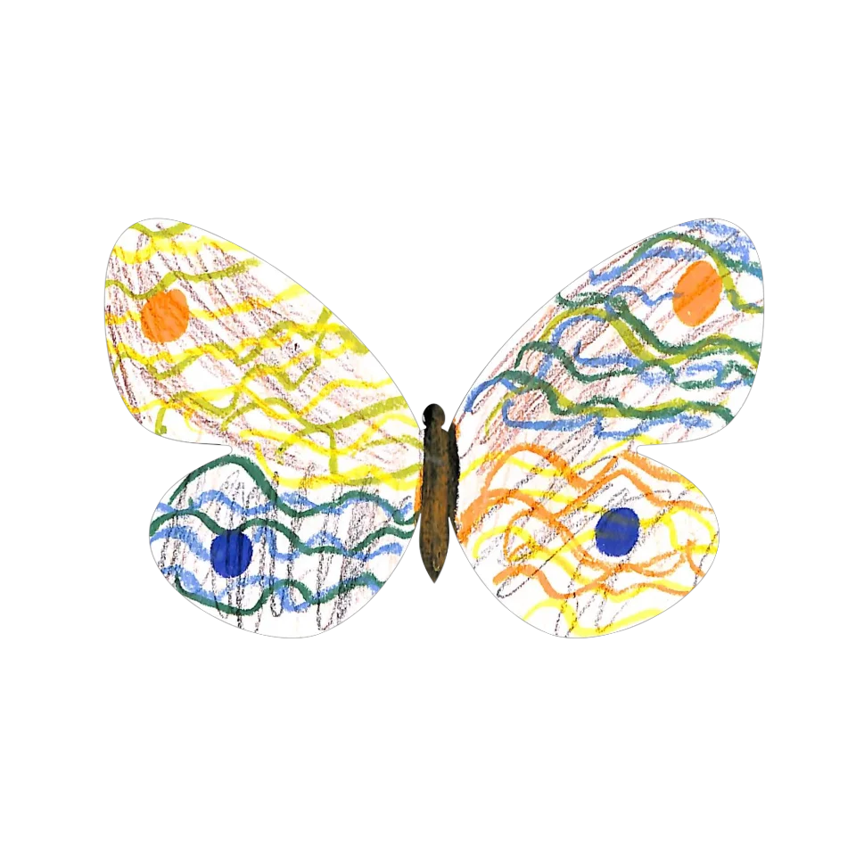 Original Butterfly Image