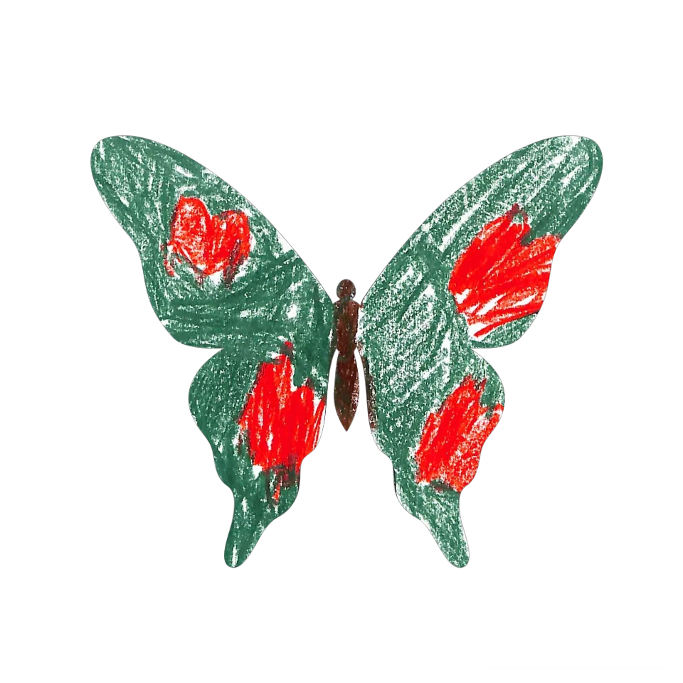 Original Butterfly Image