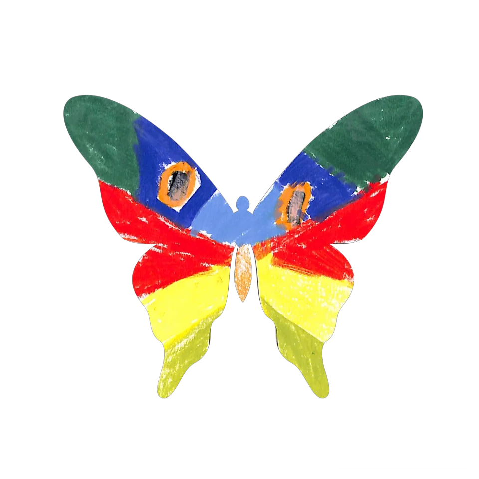 Original Butterfly Image
