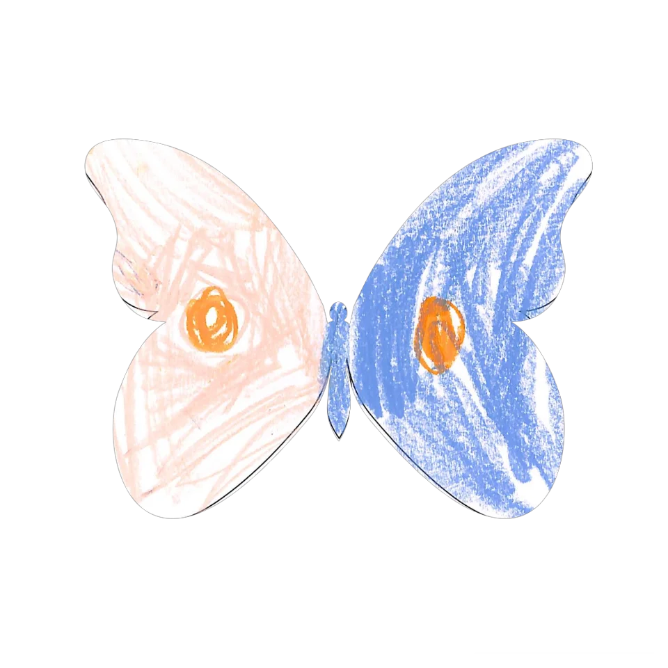 Original Butterfly Image