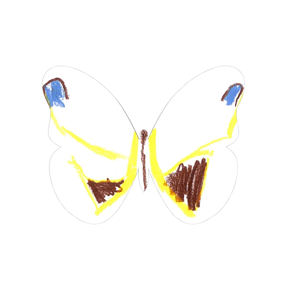 Original Butterfly Image