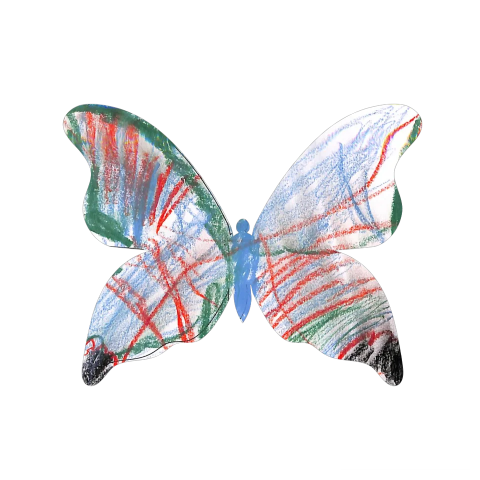 Original Butterfly Image