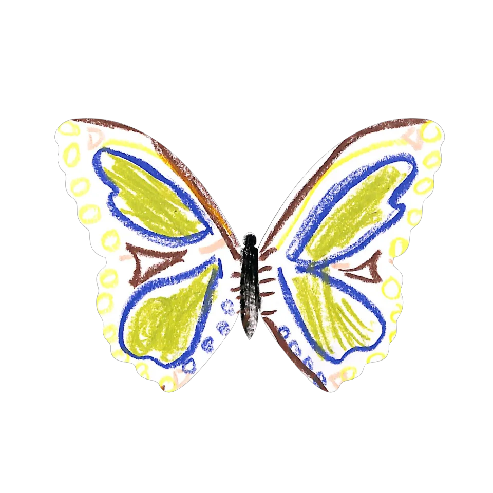 Original Butterfly Image