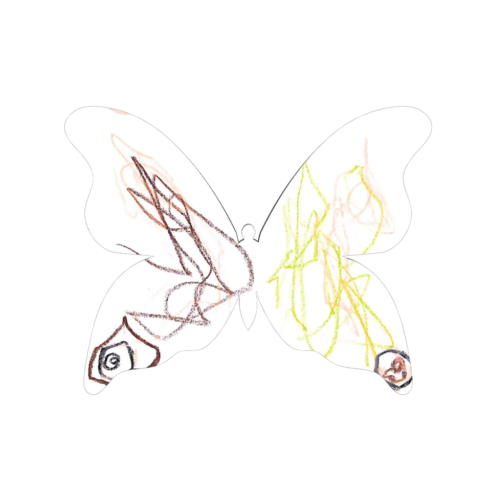 Original Butterfly Image