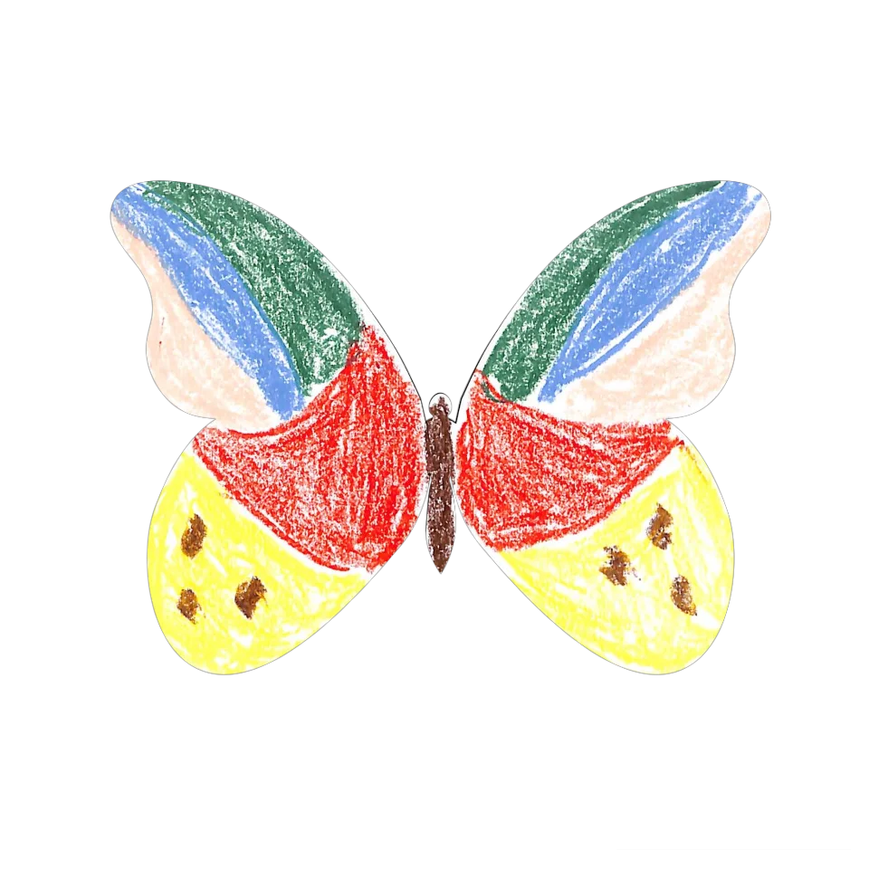 Original Butterfly Image