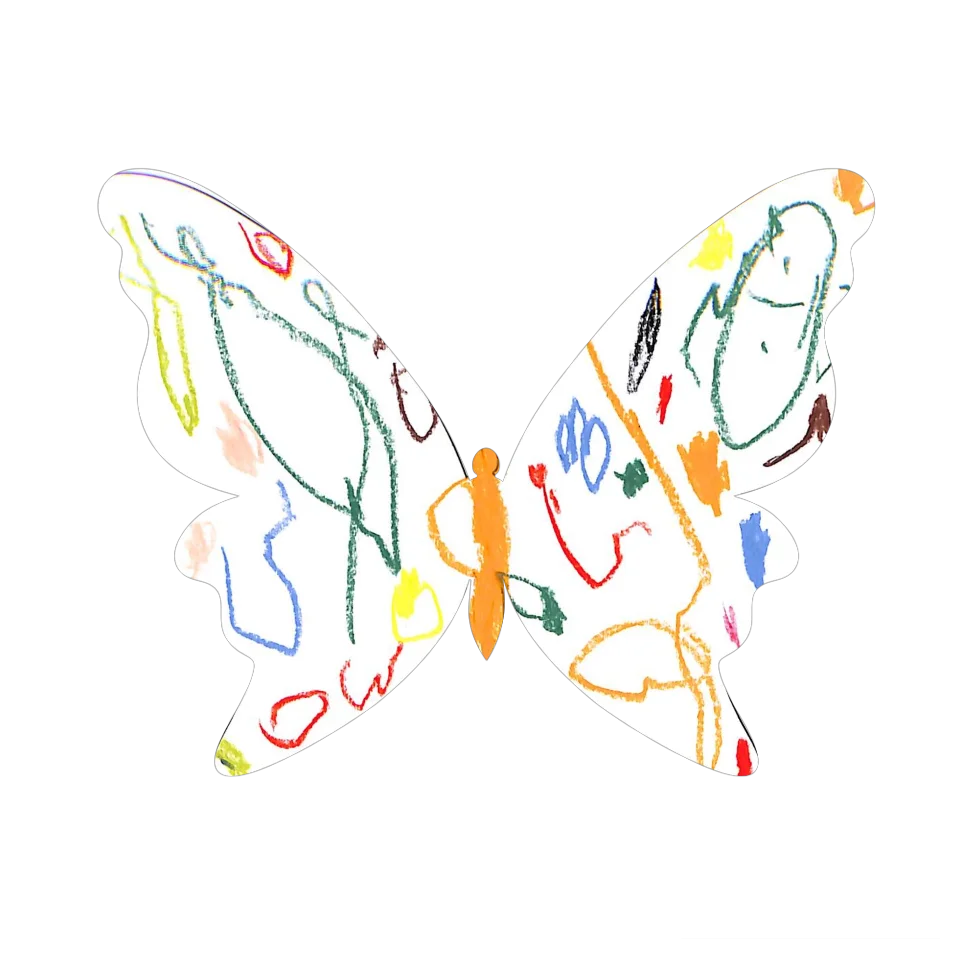 Original Butterfly Image