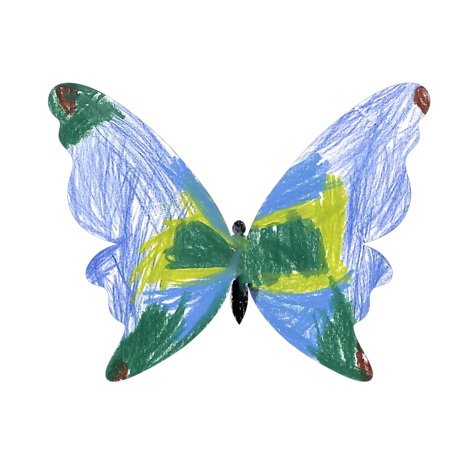 Original Butterfly Image
