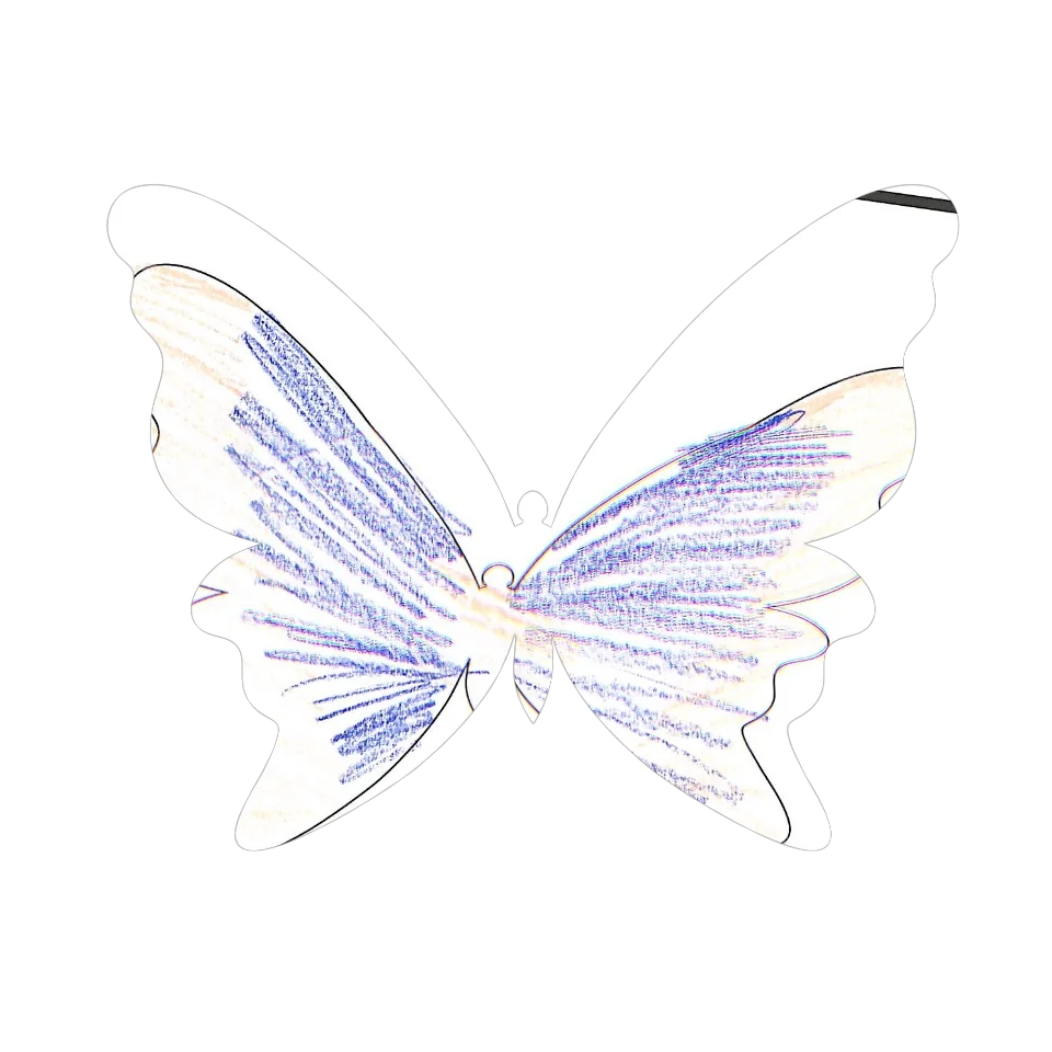 Original Butterfly Image