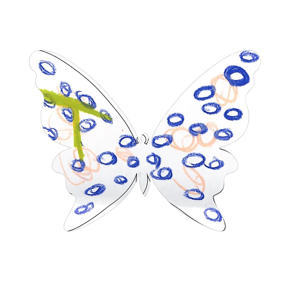 Original Butterfly Image