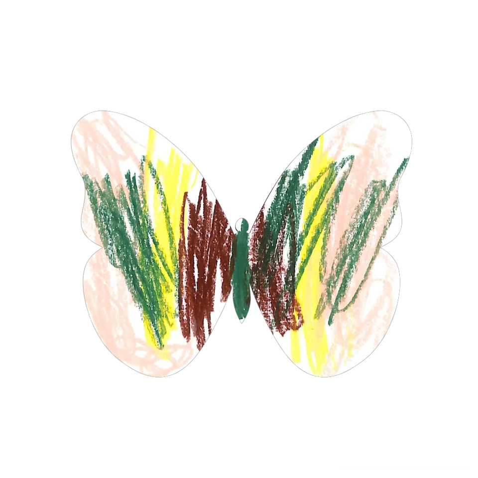 Original Butterfly Image