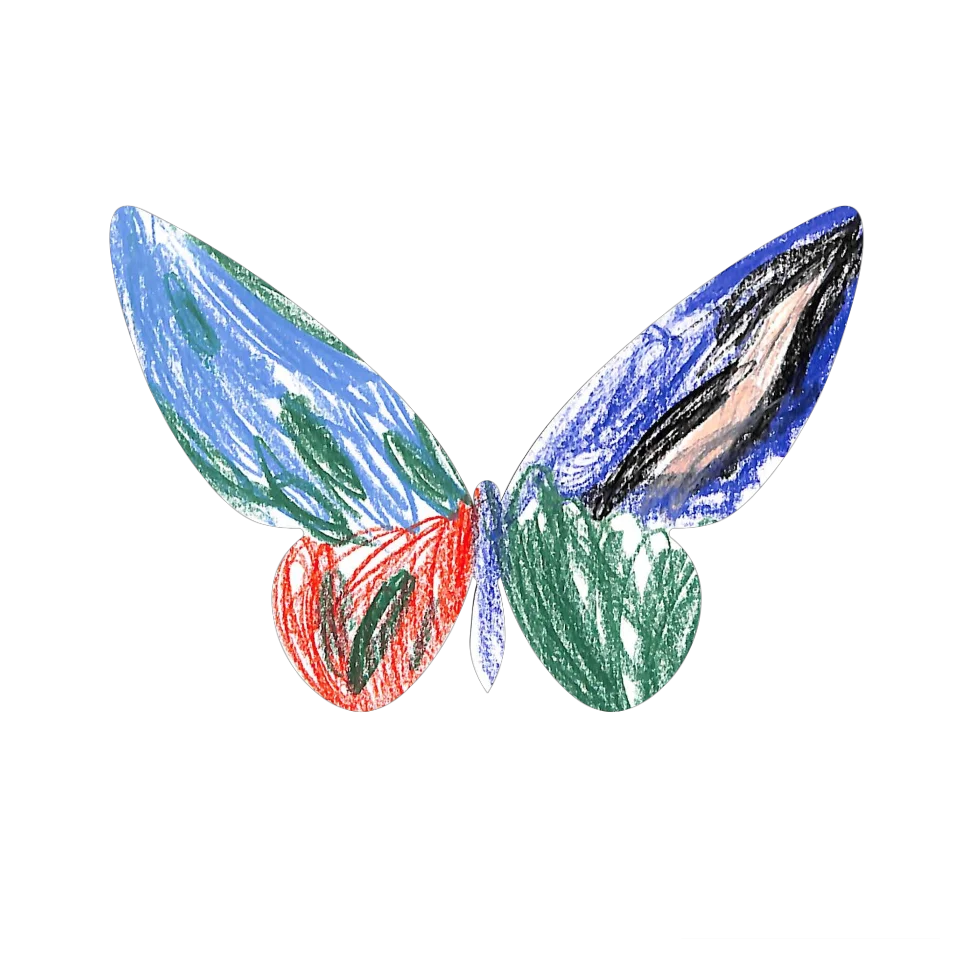 Original Butterfly Image