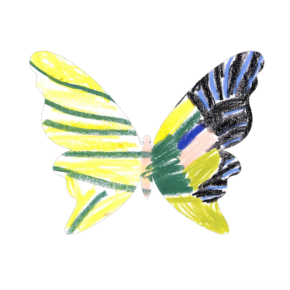 Original Butterfly Image