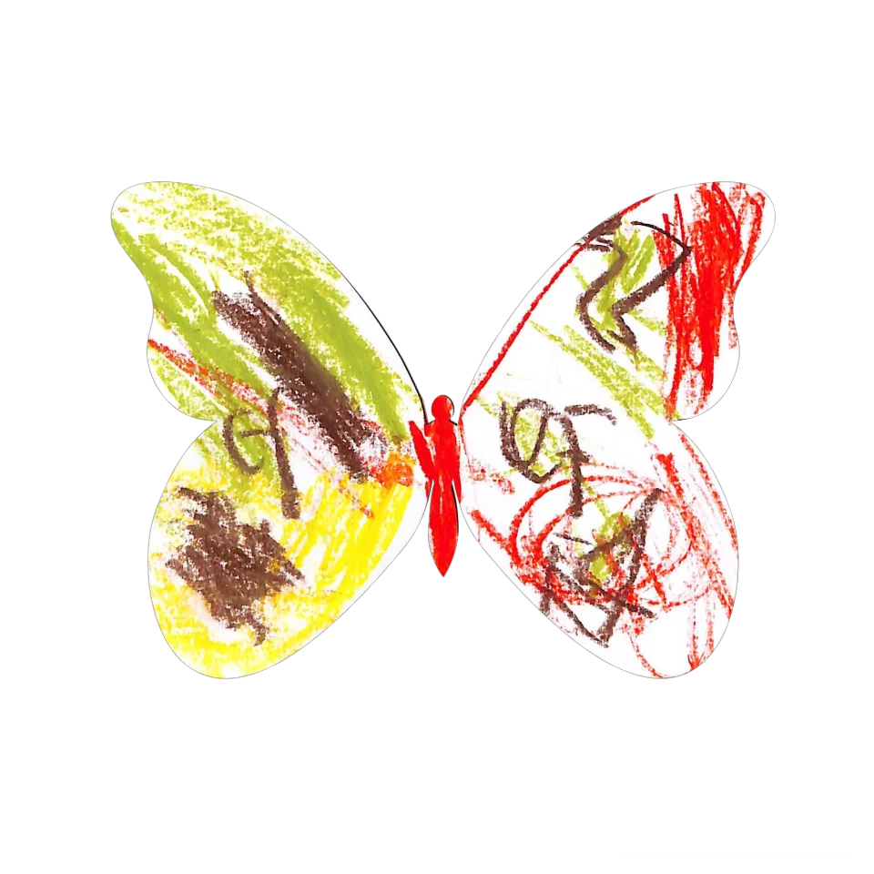 Original Butterfly Image
