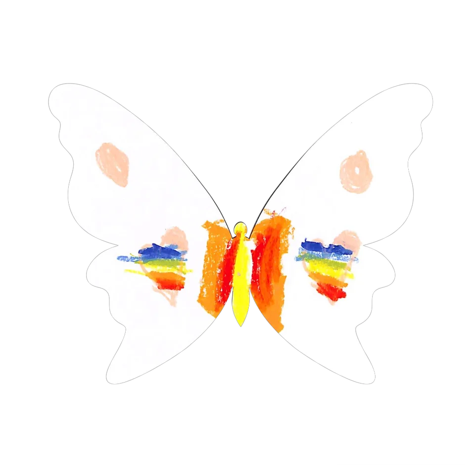 Original Butterfly Image
