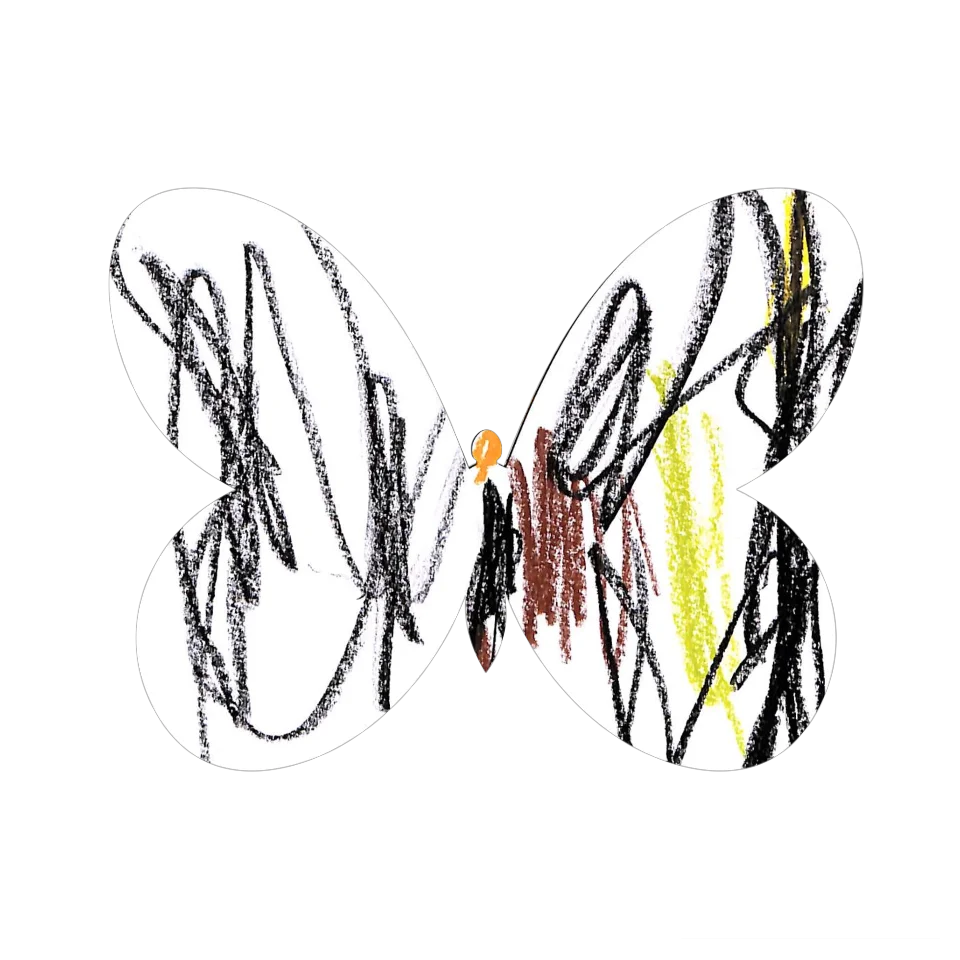 Original Butterfly Image