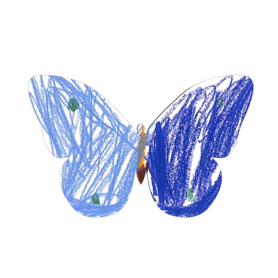 Original Butterfly Image