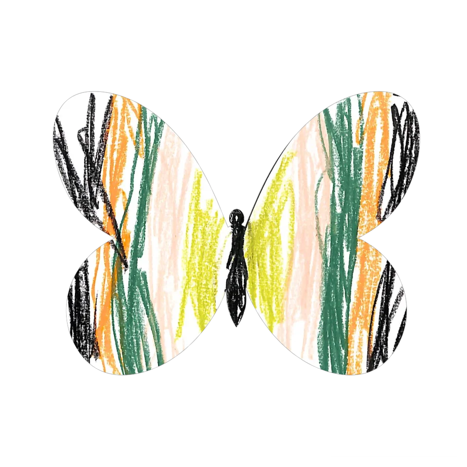 Original Butterfly Image