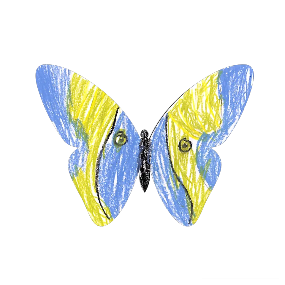 Original Butterfly Image