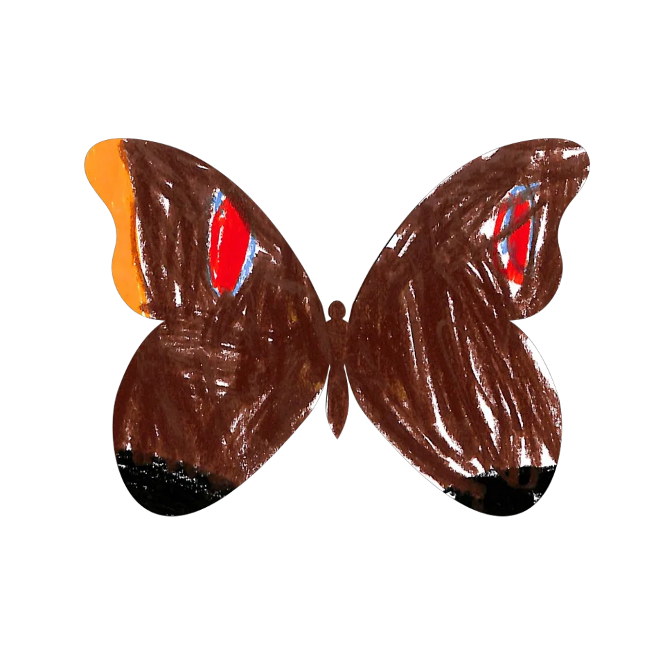 Original Butterfly Image
