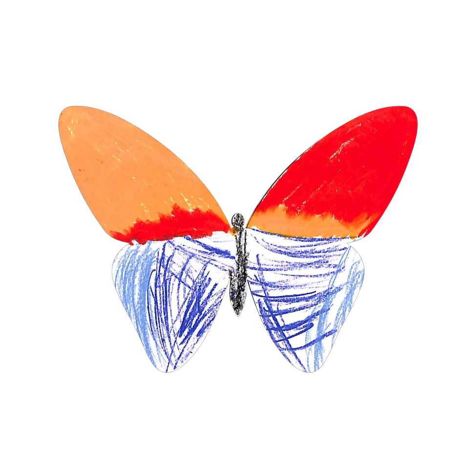 Original Butterfly Image