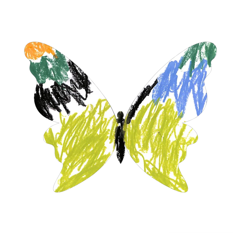 Original Butterfly Image