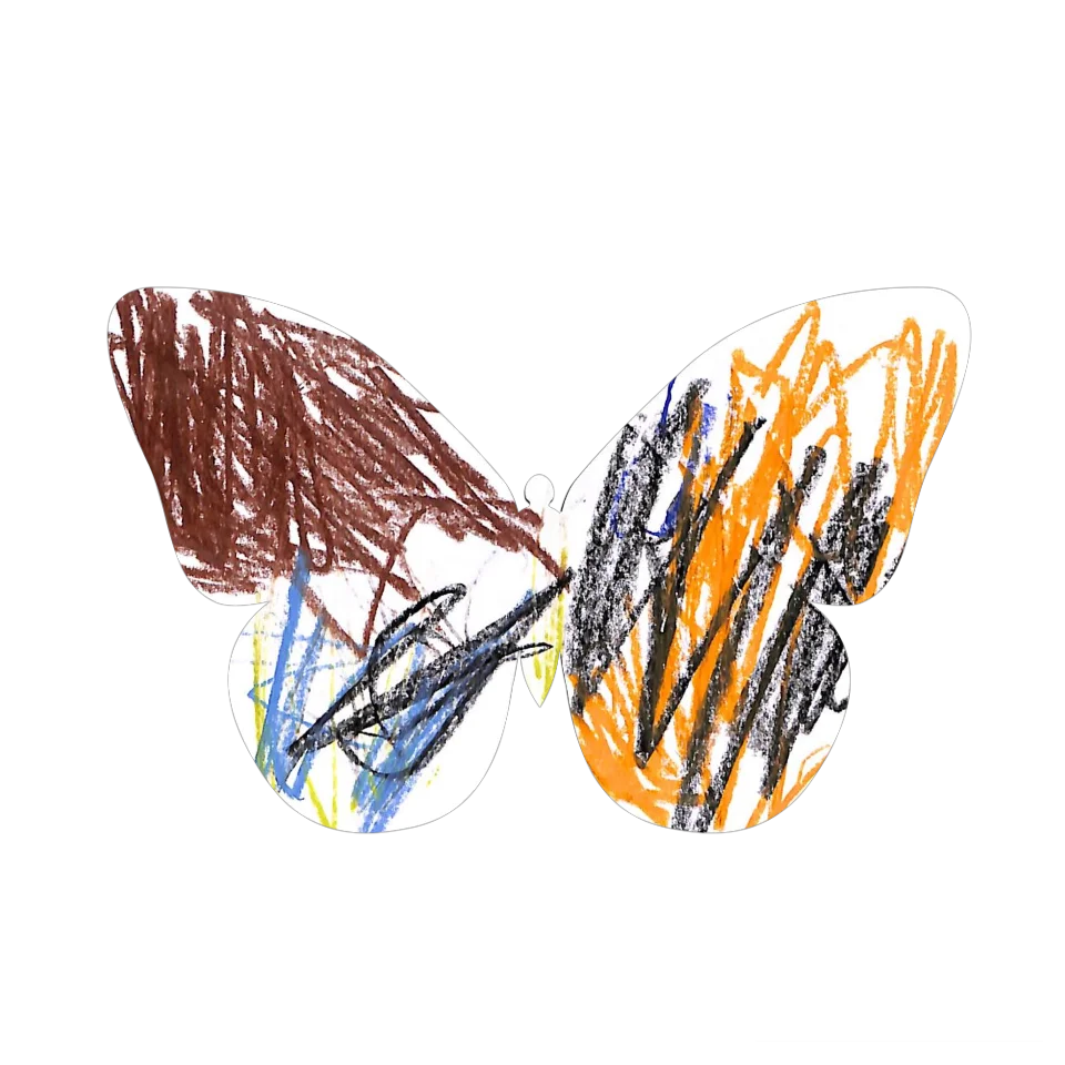 Original Butterfly Image