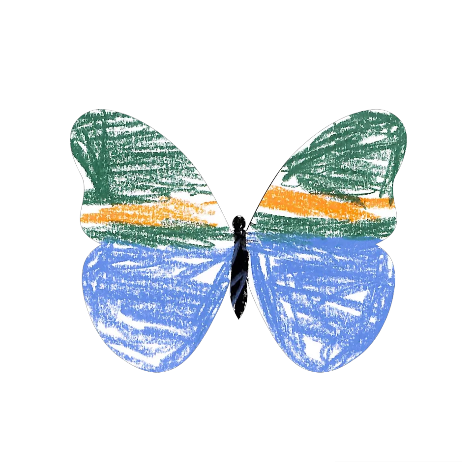 Original Butterfly Image