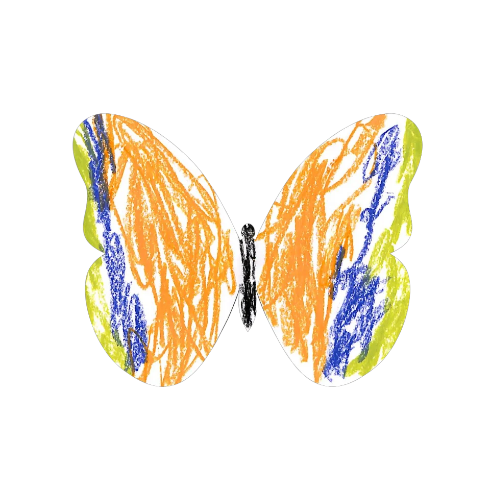 Original Butterfly Image