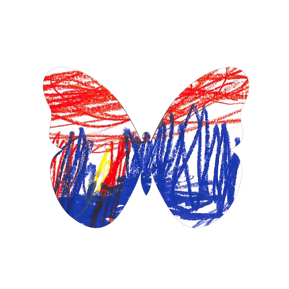 Original Butterfly Image