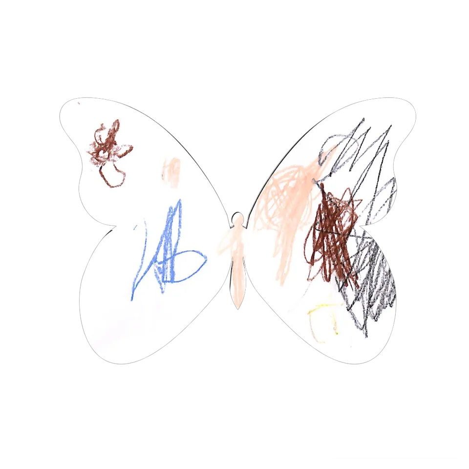 Original Butterfly Image