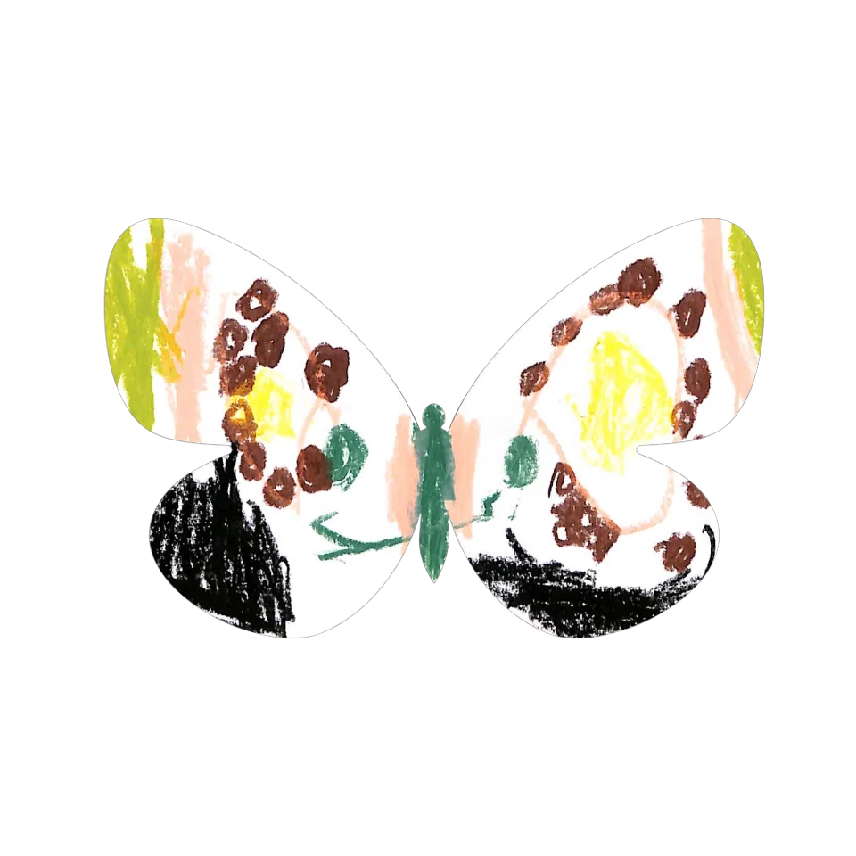 Original Butterfly Image