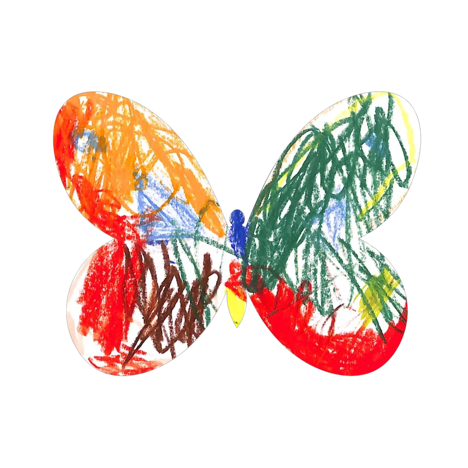 Original Butterfly Image