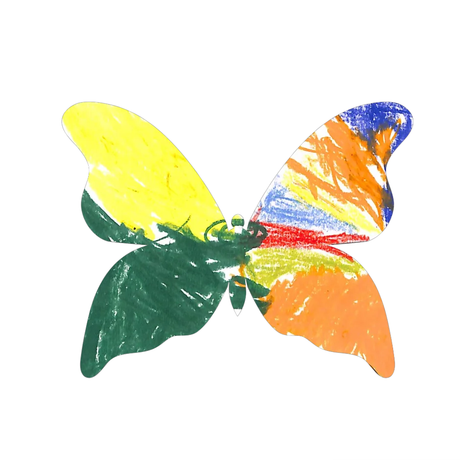 Original Butterfly Image