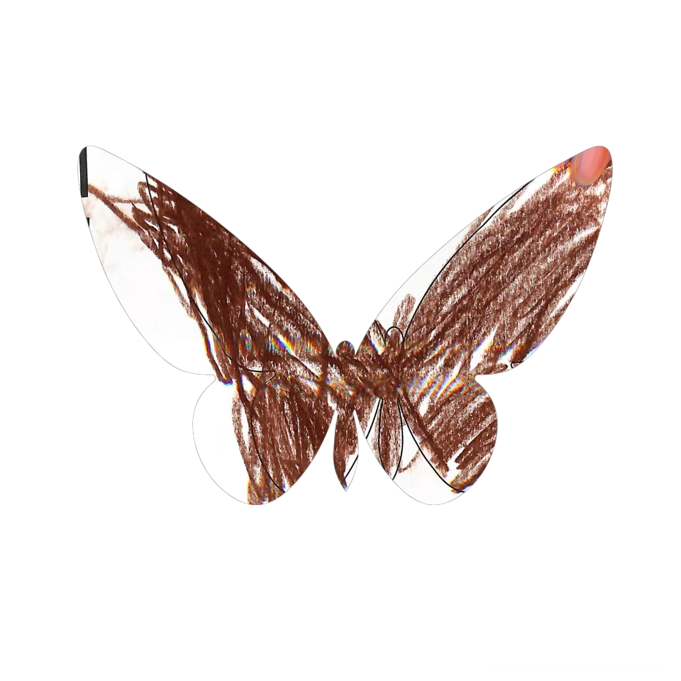 Original Butterfly Image