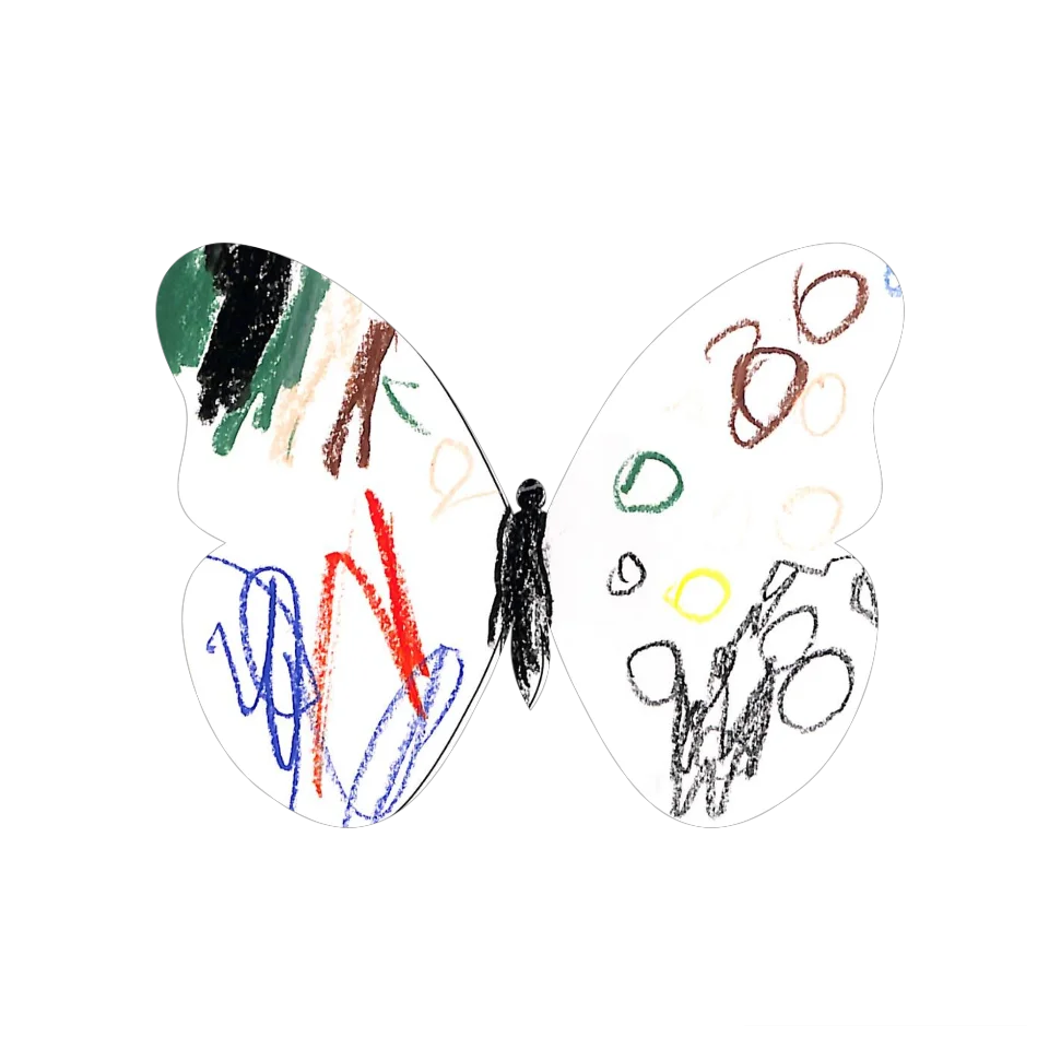 Original Butterfly Image